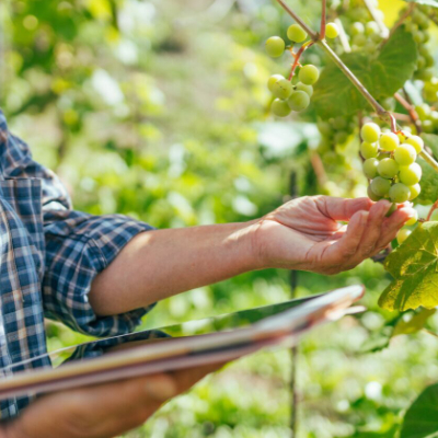 Additional image for Build Your A.I. Sales Process To Grow Distribution in 2026